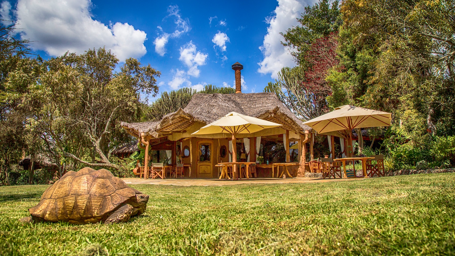 Naivasha Rift Valley retreat